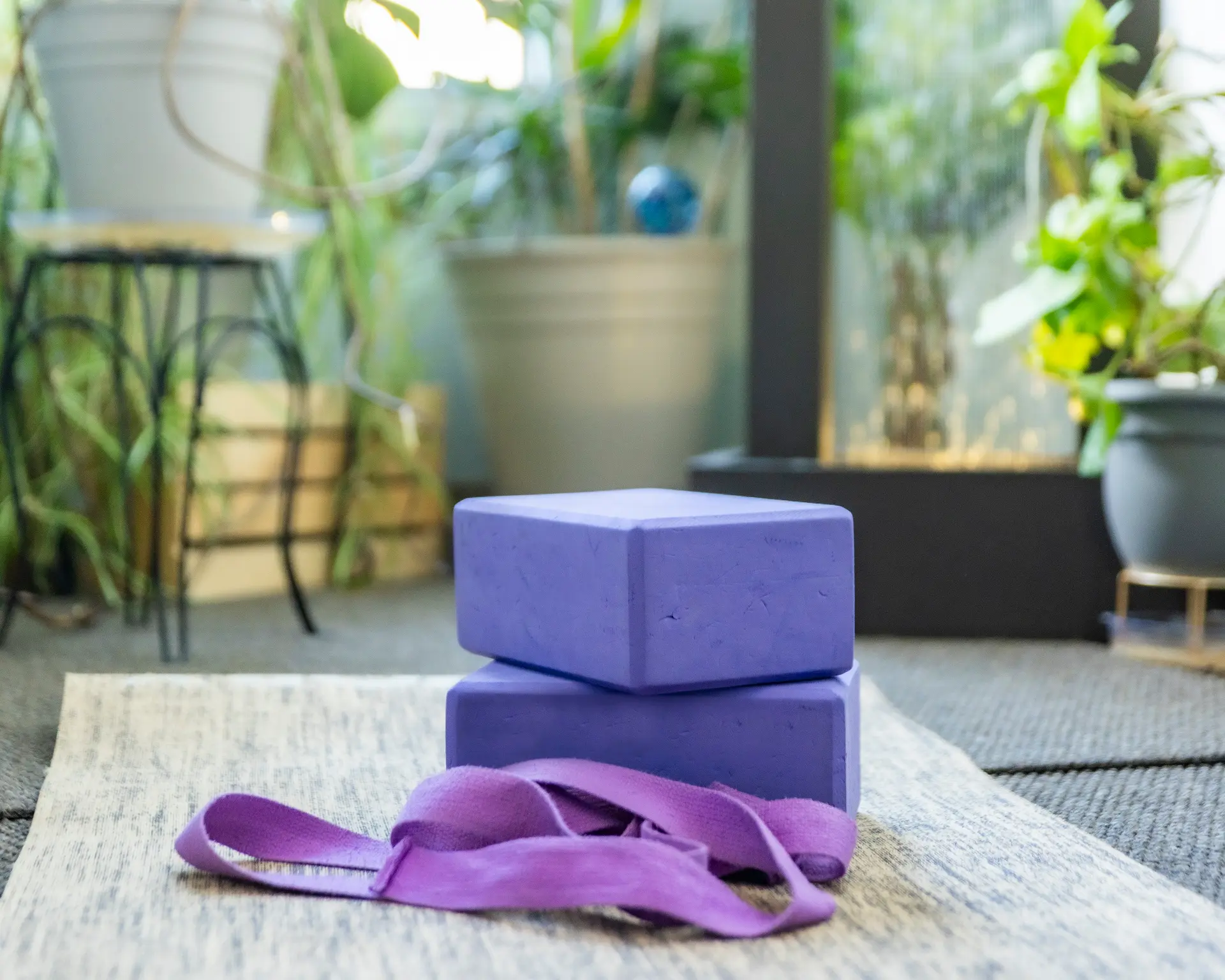 Purple yoga blocks and strap resting on a mat in a sunlit, plant-filled studio